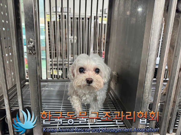 한국동물구조관리협회_411307202400633